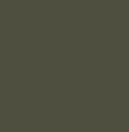 Coloderm-Olive-Brown-M-BG