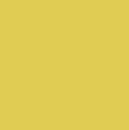 Coloderm-Yellow-L-MN